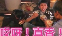 娱乐圈爆料客的真实事件,揭秘明星幕后真相