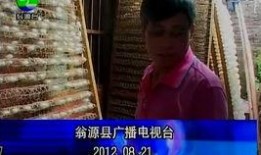 翁源县新闻爆料,揭秘当地热点事件背后的真相